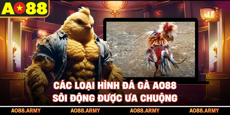 Các loại hình đá gà sôi động được ưa chuộng